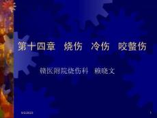 烧伤-冷伤-咬螫伤-课件
