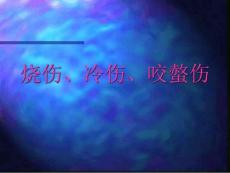 烧伤冷伤咬螫伤课件