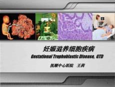 妊娠滋养细胞疾病 ppt课件