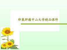 卵巢肿瘤ppt课件