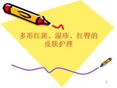 多形红斑湿疹课件