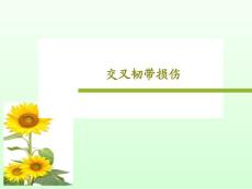 交叉韧带损伤课件