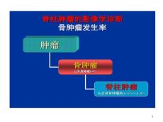 脊柱肿瘤影像学诊断课件
