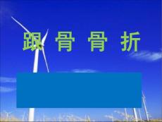 跟骨骨折(浅淡跟骨骨折的治疗)课件