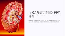 《iga肾病丁香园》课件