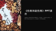 《伤寒和副伤寒》课件