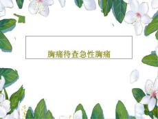 胸痛待查急性胸痛课件