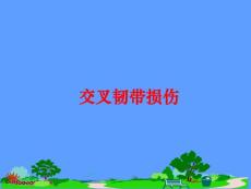 交叉韧带损伤课件