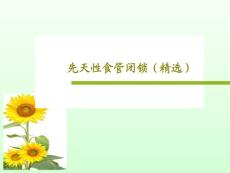 先天性食管闭锁P课件