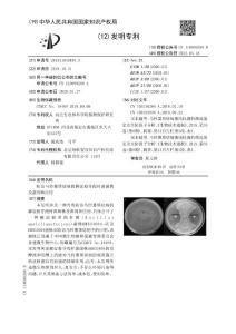 防治马铃薯黑痣病的解淀粉芽孢杆菌菌株及菌剂和应用