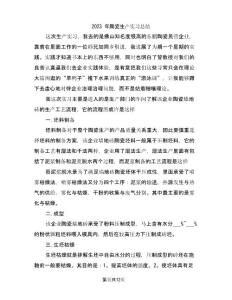 2023年陶瓷生產(chǎn)實(shí)習(xí)總結(jié)