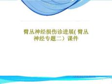 臂丛神经损伤诊进展（臂丛神经专题二）ppt课件