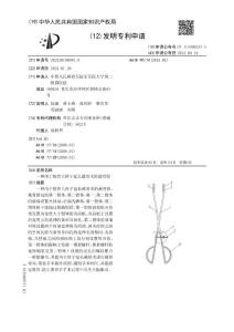 一种用于股骨大转子延长截骨术的截骨钳