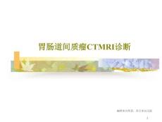 胃肠道间质瘤CTMRI诊断课件