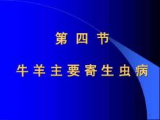 牛羊寄生虫病课件
