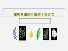 痛风及痛风性肾病上课讲义课件