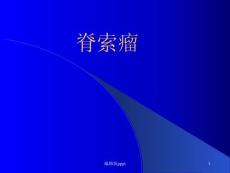 脊索瘤影像诊断课件