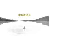膀胱癌ppt课件