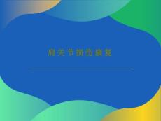 肩关节损伤康复课件
