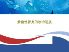 紫癜性肾炎的诊治进展课件