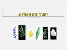 肩部疼痛诊断与治疗 ppt课件