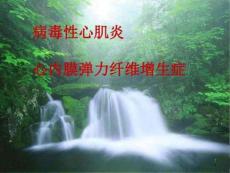 病毒性心肌炎心内膜弹力纤维增生症课件