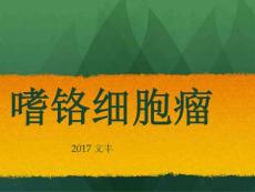 肾上腺嗜铬细胞瘤课件