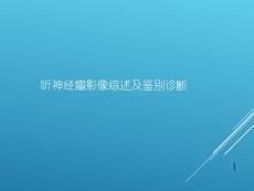 听神经瘤诊断课件