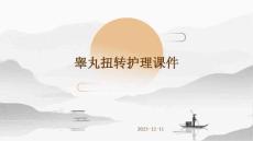 睾丸扭转护理课件