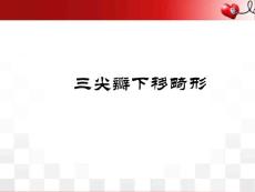 三尖瓣下移畸形的超声诊断课件