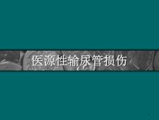 医源性输尿管损伤概要课件