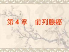 前列腺癌.ppt