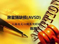 房室间隔缺损课件