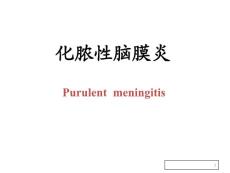 化脓性脑膜炎课件
