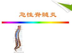 急性脊髓炎课件