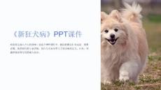 《xin狂犬病》课件