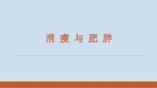 消瘦与肥胖终