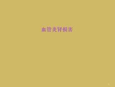 血管炎肾损害课件