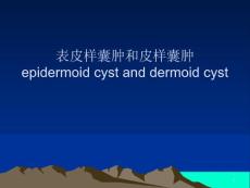 表皮样囊肿和皮样囊肿的影像学鉴别诊断课件