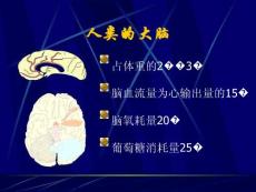 老年痴呆-课件