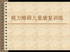 视力障碍儿童康复训练课件