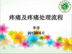 疼痛与疼痛处理流程课件