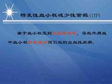 过敏性紫癜课件