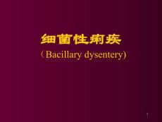细菌性痢疾课件