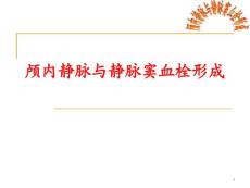 颅内静脉与静脉窦血栓形成课件