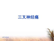三叉神经痛课件