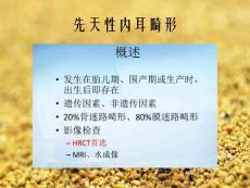 先天性内耳畸形课件