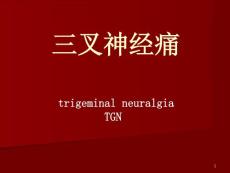 三叉神经痛详解课件