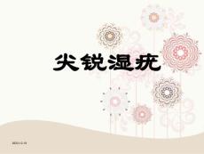 尖锐湿疣课件