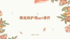 眼底病护理ppt课件